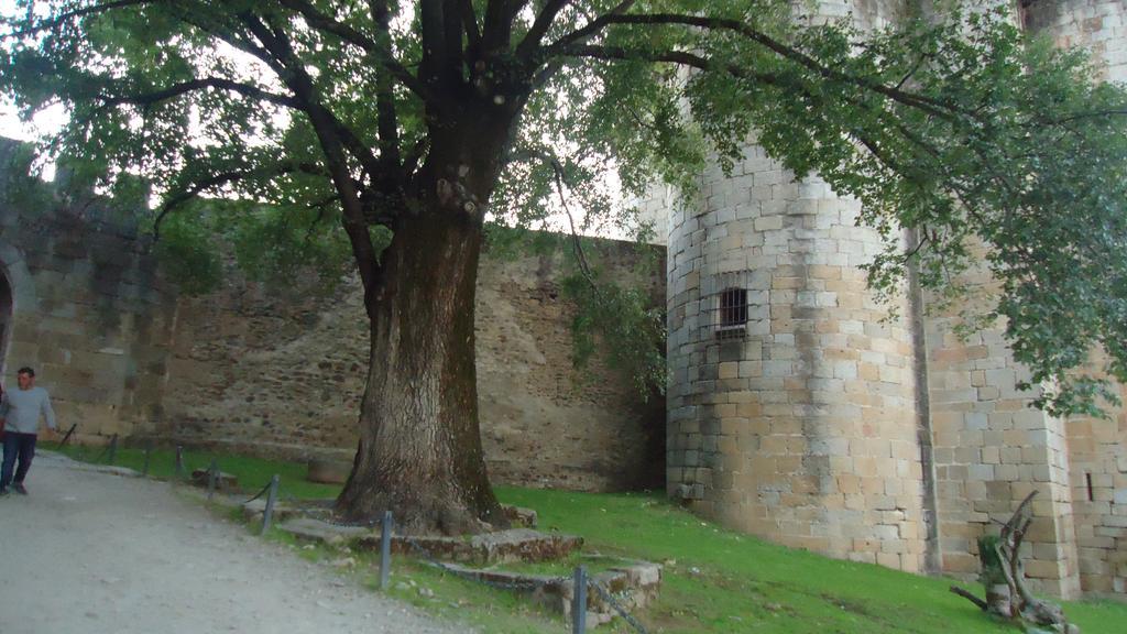 Casas Rurales El Caminante Aldeanueva del Camino Exterior photo